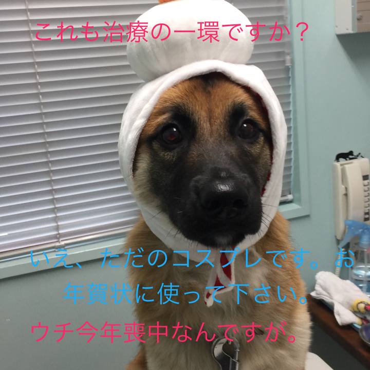 8c5207ca 10b7 42c7 a2c5 cf6b0a15fa24