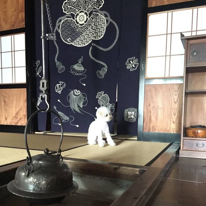 8c528ffb a2d5 4978 b855 67ca6588eba0