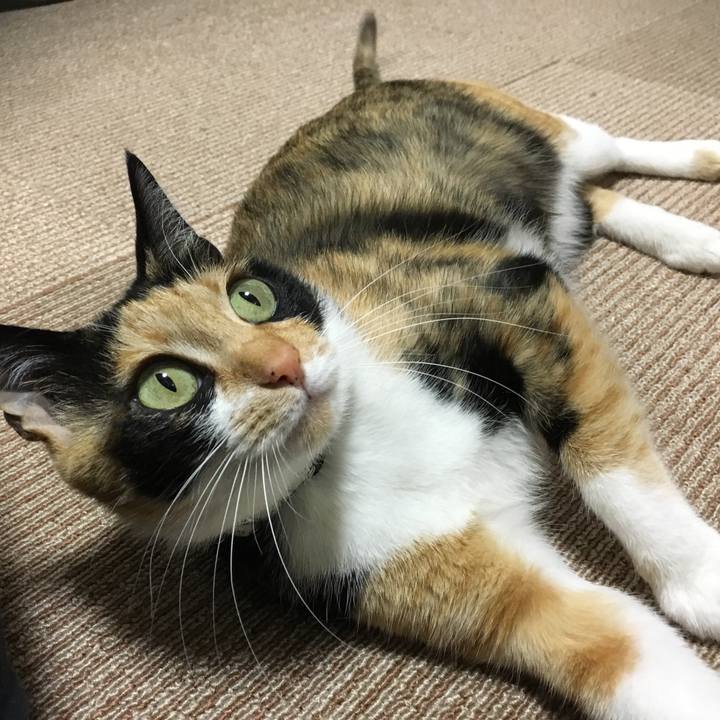 8c540a8e 58c2 4ed0 ad92 ebca87d3c613