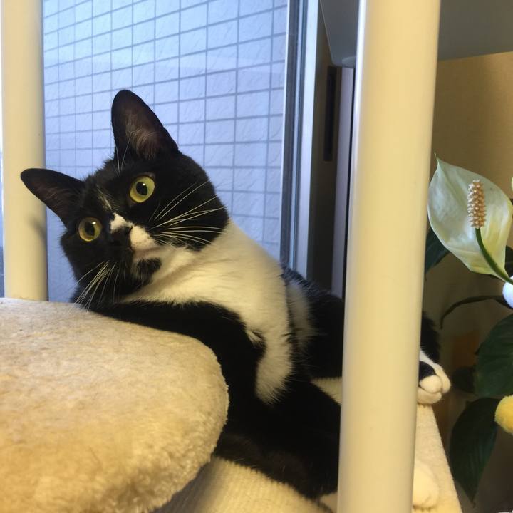 8c542aff c55b 445c 8c07 e5b6595c9930