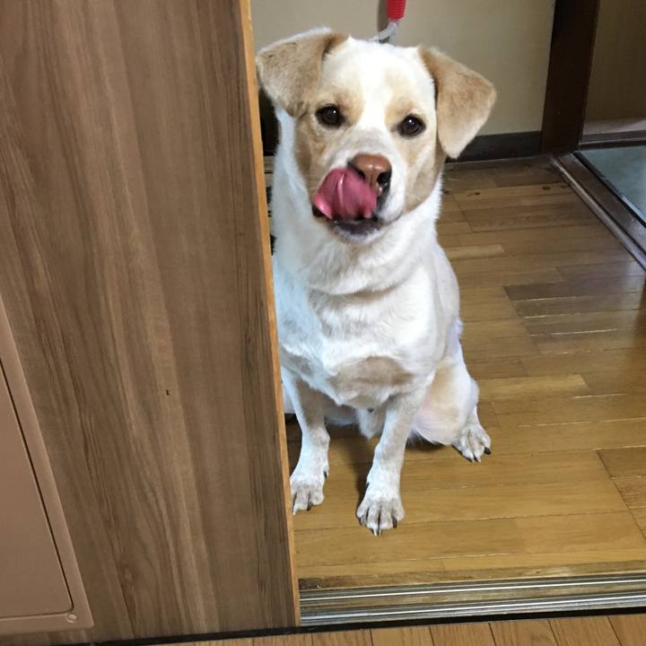 8c543099 9d9a 467e a933 62f8e9cb8fef