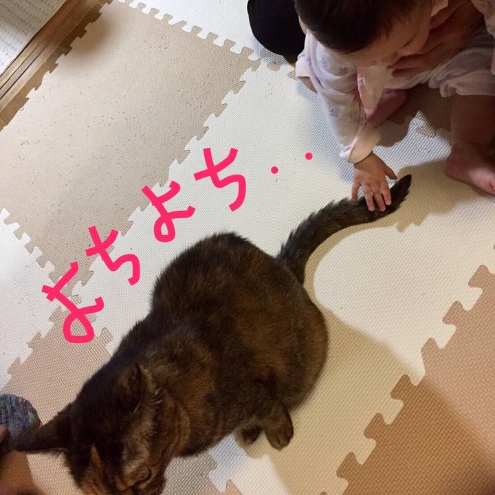 8c5440eb b71d 4b70 baf4 9d851451d7f9