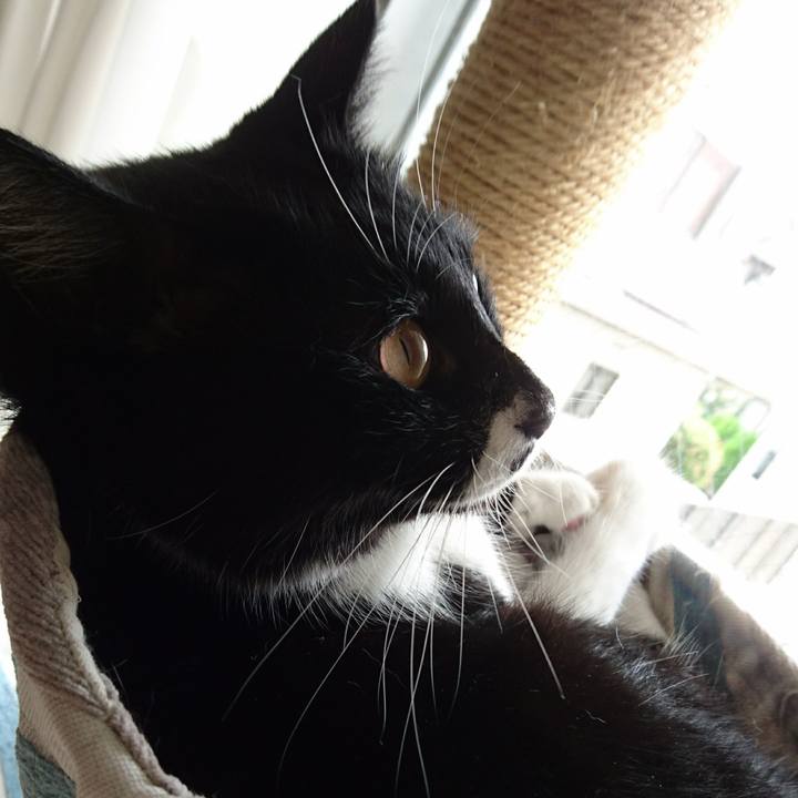 8c547692 47ed 4034 81b3 a3652ed8f5ed