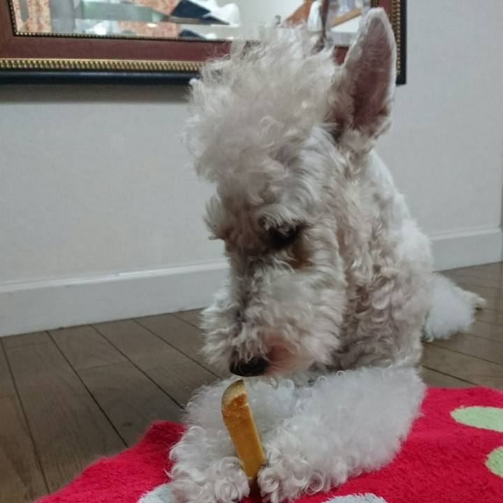 8c54bd17 4bca 4471 bbc7 fd47fd9f9e8e