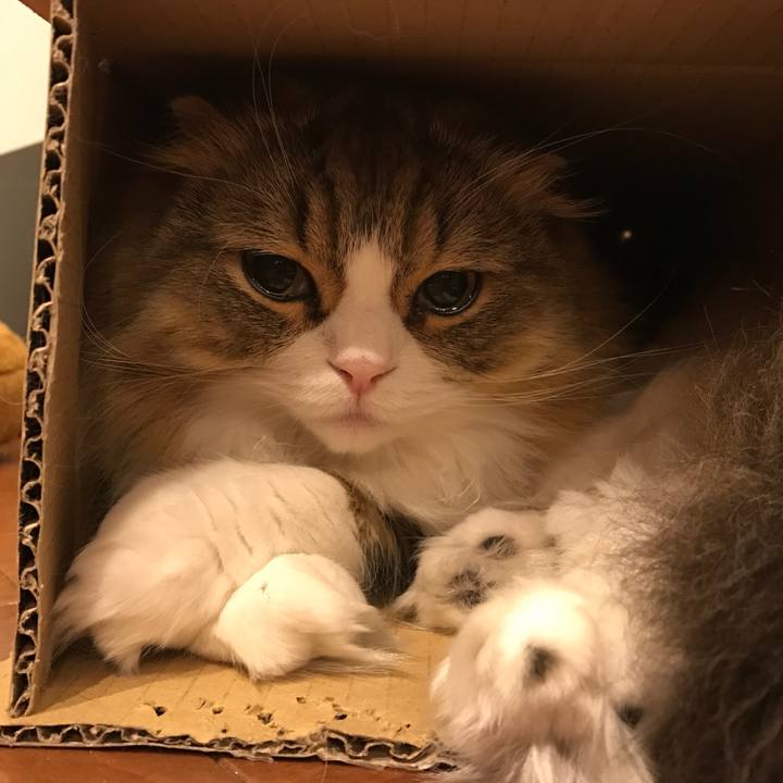 8c55587f 64ab 4fd9 99dd 6896c0cb52df