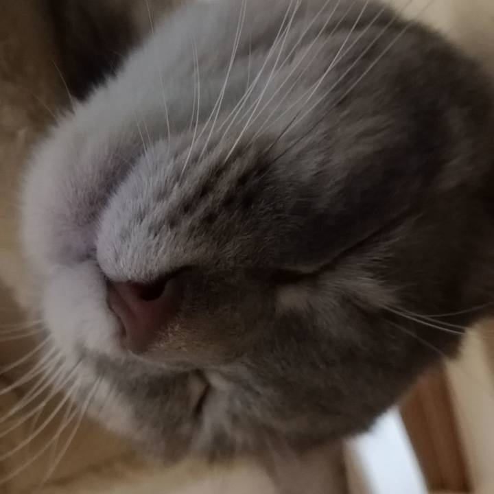 8c55edc7 0cb4 42b7 a9b1 4dbad7bebeff