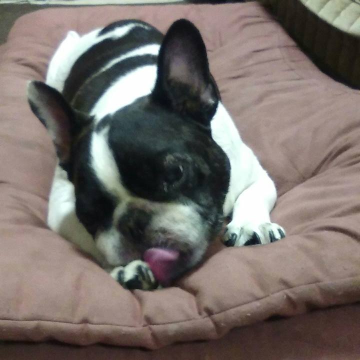 8c568e70 d190 440a 8f36 a0c55192fdb6