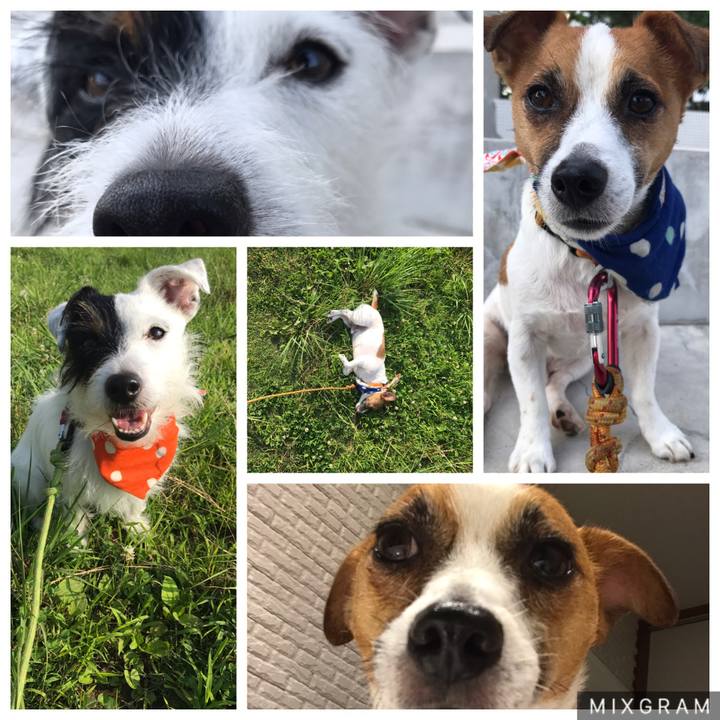 8c56af60 a5fa 40df 83ac f21bf1865d0a