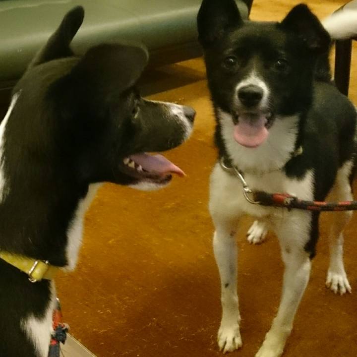 8c56cd01 cbe5 4e8c 893c af5c9bfda657