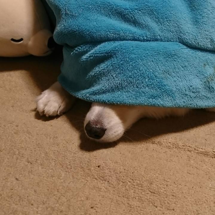 8c572a05 b2ae 469b a631 8b125a9a86f6