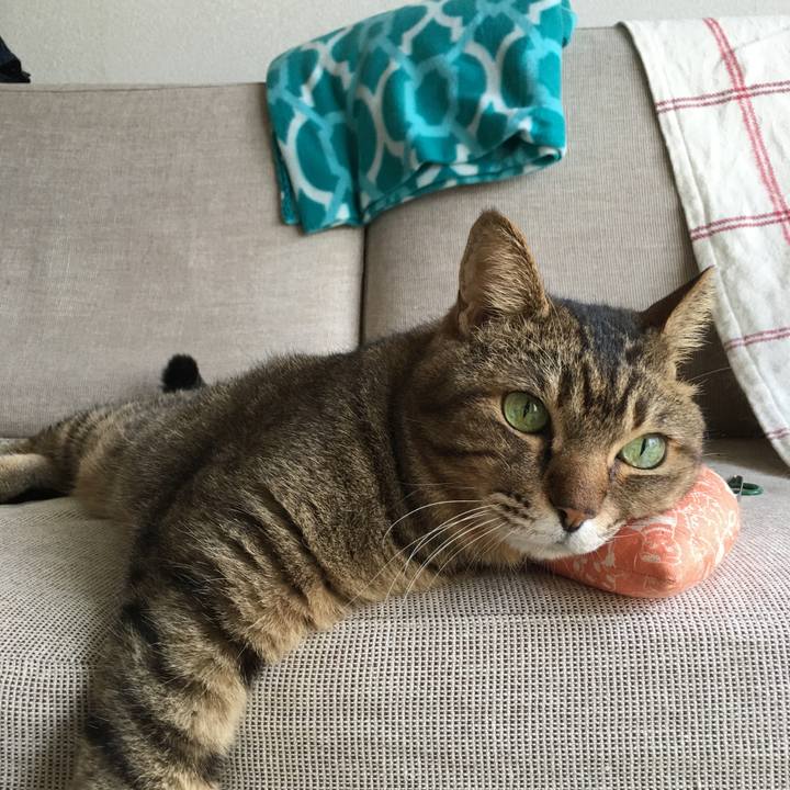 8c574775 87f2 4ffd 9231 937fdb141da0