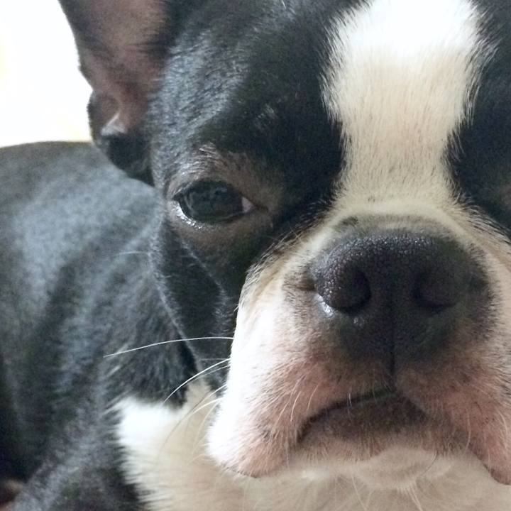 8c5794a2 6492 4326 af82 5c430c09a95d