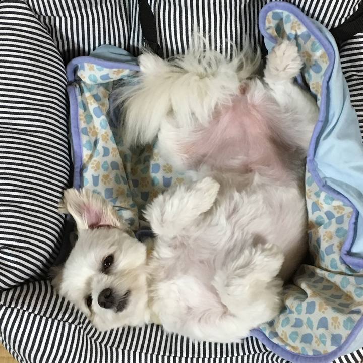 8c57f00f ba8c 463b 9267 5c645900803a