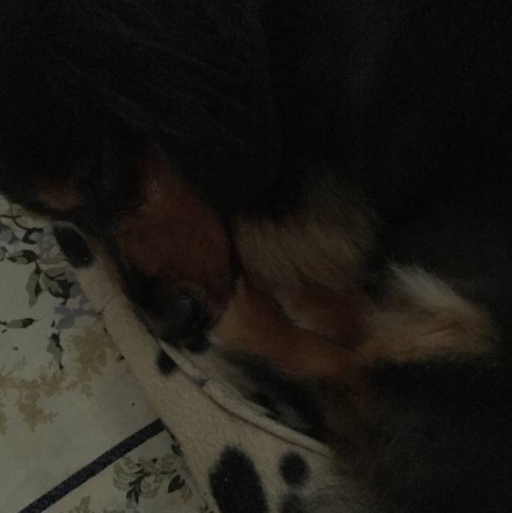 8c589bb1 585d 495c b2c7 ab2e5afb3922