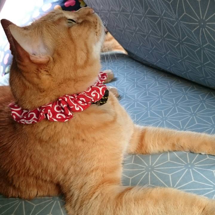 8c58b7f0 bf09 4eb6 ad71 7919f150252a