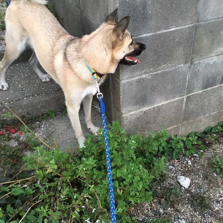 8c58dc24 6a98 4f36 9900 06f554ae49af