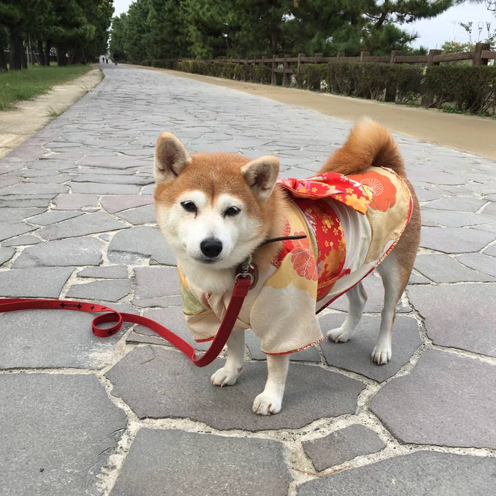 8c58fb55 cc67 4939 a1db 70753515e41e