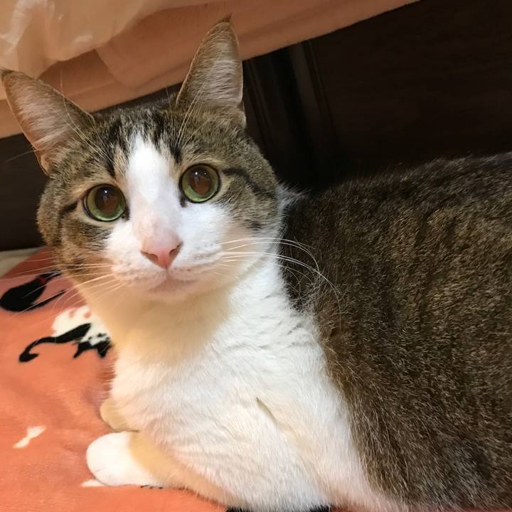 8c591a6d 4bcd 473d 928b 6cb3ebaccec9