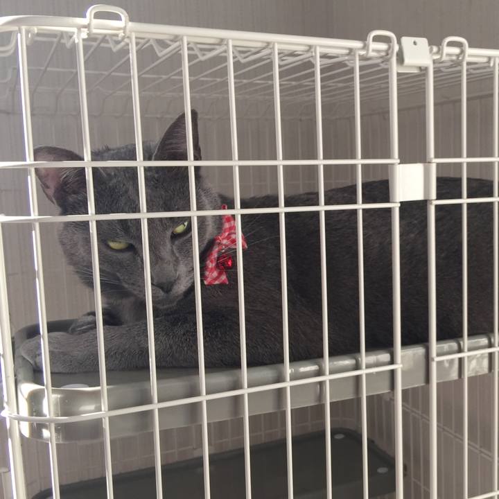 8c59b820 4a49 4dc0 8be1 bf2864f09b05