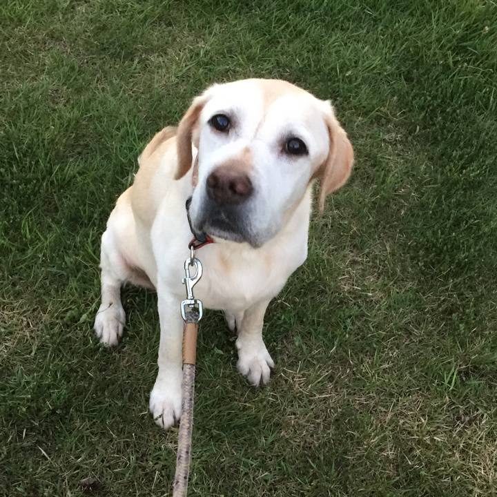 8c5a11e5 3745 406a 99c4 c1fbf1c1789c