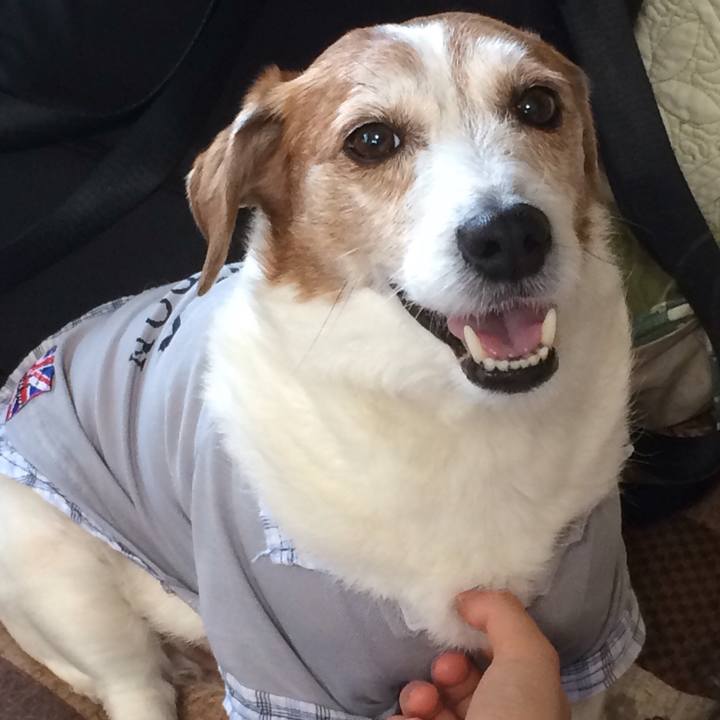 8c5a1ebc a522 402d 8a5e 65649cd917f2