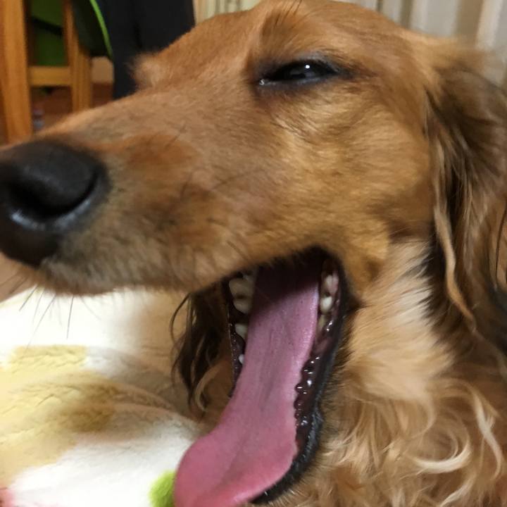 8c5a3da0 c7dd 4b5a a0ae 599ae2016978