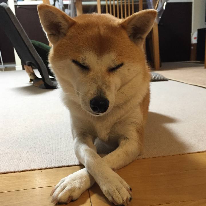 8c5ab35c 19cc 4c19 8875 febba8f7f15c