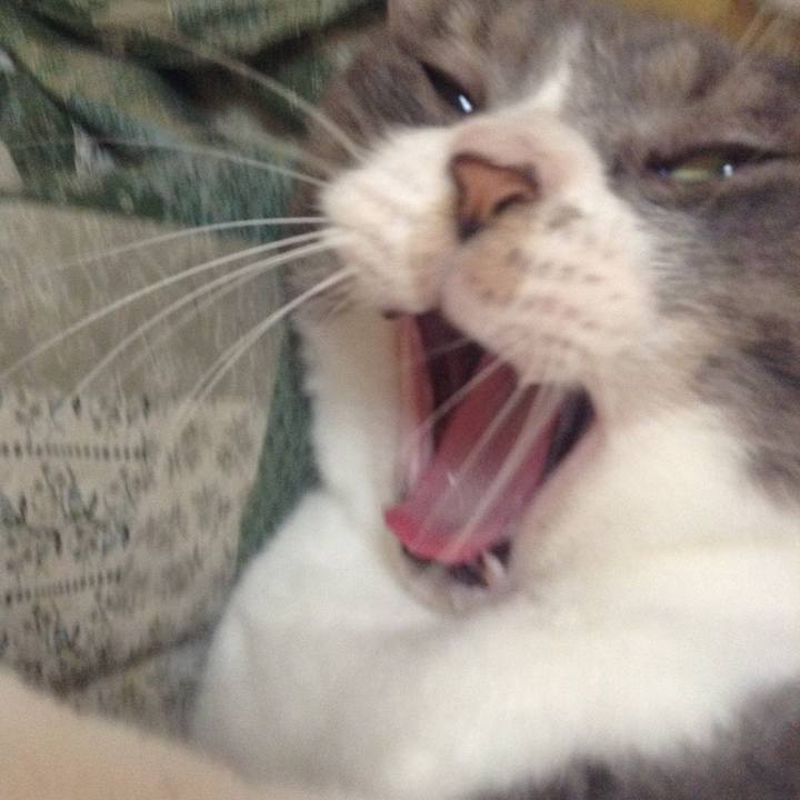 8c5b1e5a d513 42a0 8bd6 3602614deeff