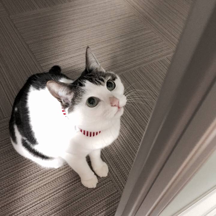 8c5b218e f251 4e3b a6e3 2d9664a5fa31