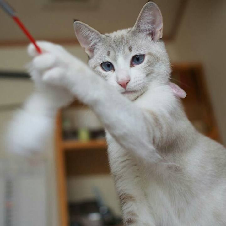 8c5b6495 2389 44bd 9940 20406023d5c9