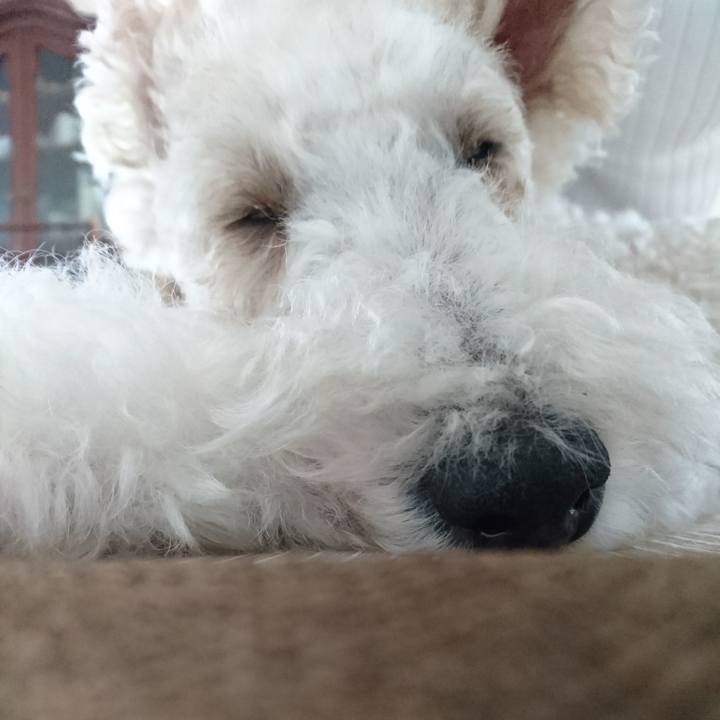 8c5bd026 685f 417e b75f 16e77ab4ce65