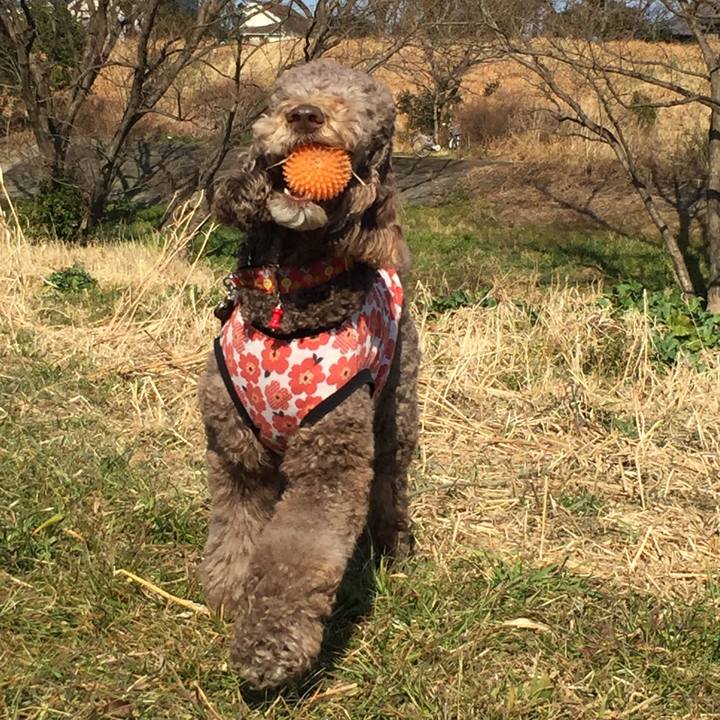 8c5bd84e c4ec 4bb3 9c04 fed964bebd51