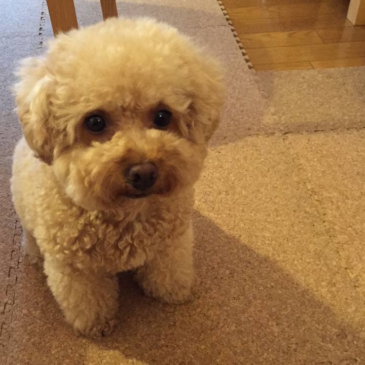 8c5c7540 2bb7 452c a0bc 7a75d08c011a