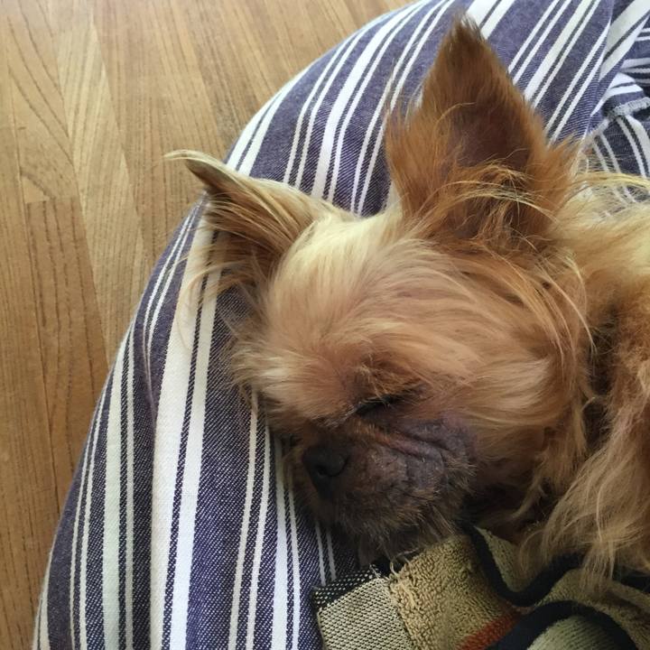 8c5cae4a 7d1c 453d 92a0 d268d145b5a6