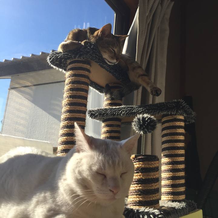 8c5d2bd9 2779 47b2 b4dc f82804bf6720