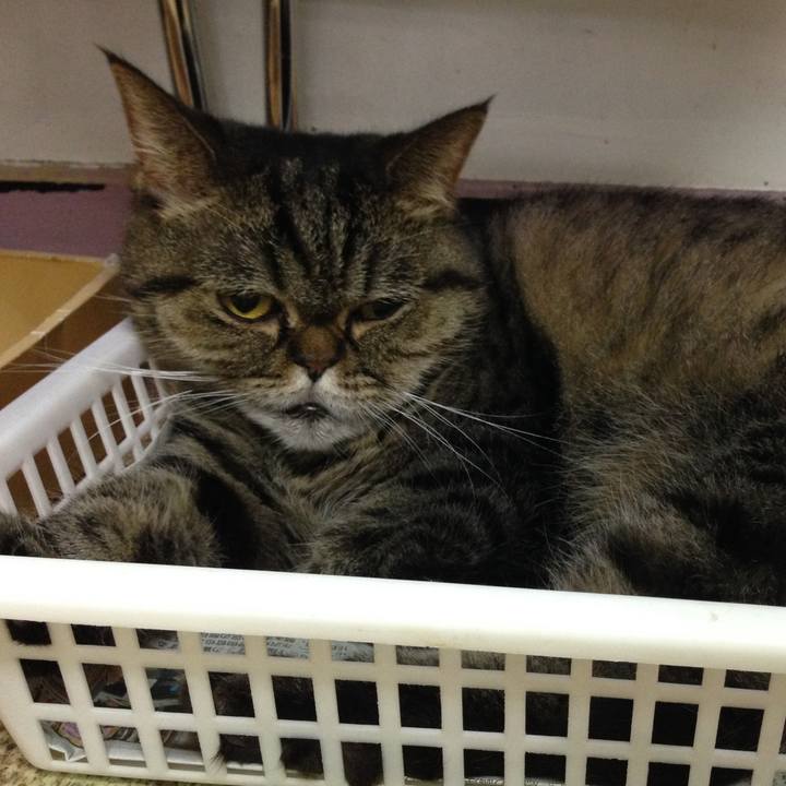 8c5d65a5 cb76 4546 8f20 9882dbaf524e