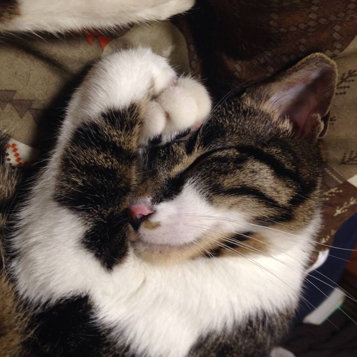 8c5f0ac9 7b31 439b 9203 d3327b33e7f8