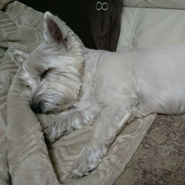 8c6001e8 f402 4f59 b19a 48229e8aadcf