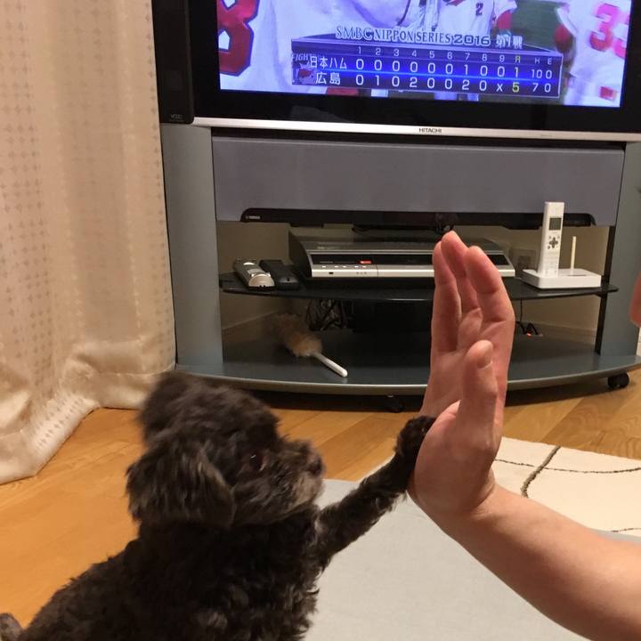 8c601238 b403 426f 87a4 af51f56e0174