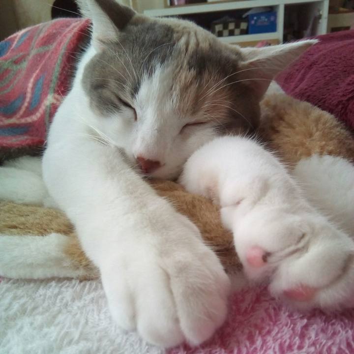 8c609711 df98 4c10 8d8e 9d78697f25c8