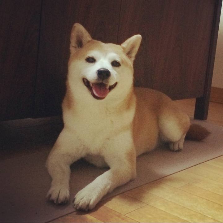 8c609dae eb00 4bbc 867b 40a40b8c250b