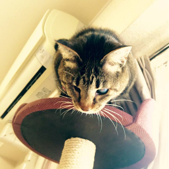 8c612d3d 395d 4fbf b08d 78e0cb29b922