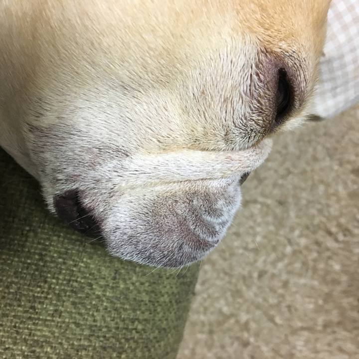 8c6136a0 fca1 453b 9aa5 d1eb73963688