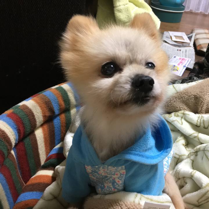 8c6149b4 12da 42f7 8417 78d91914c884