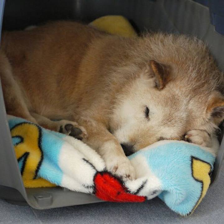 8c614d60 69e0 4338 833d 873ff5197b04