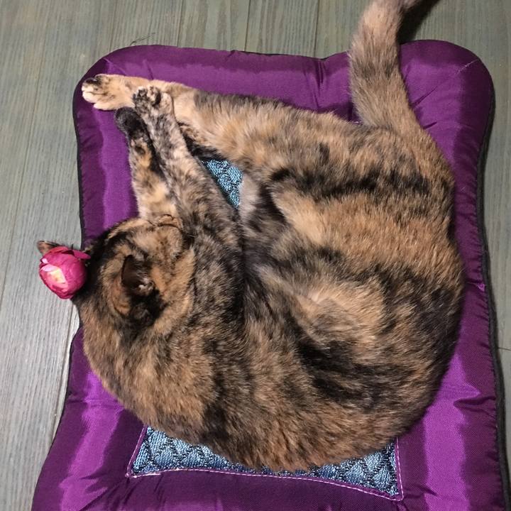 8c61c9f8 909e 4995 b546 2ce5efc37338