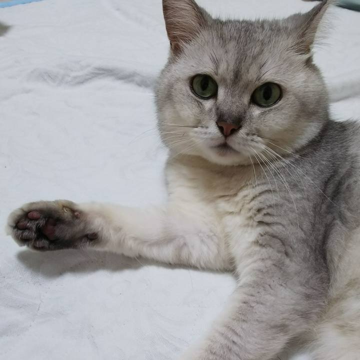 8c61fa43 7d76 470a a623 ff1a6cc92f98