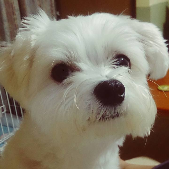 8c62254a f623 4c0b 940d daa5c9251891