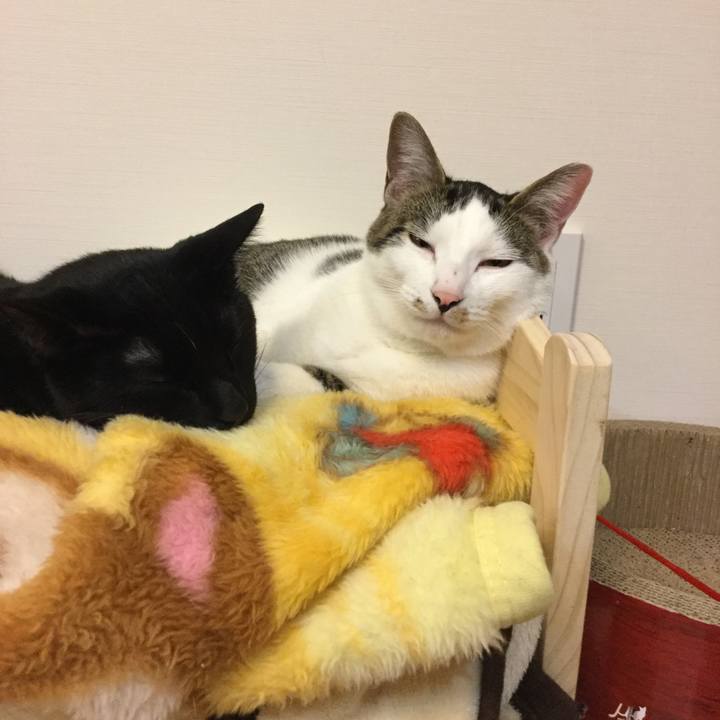 8c6268f9 eae2 463b afca 5bc5bdeab91a