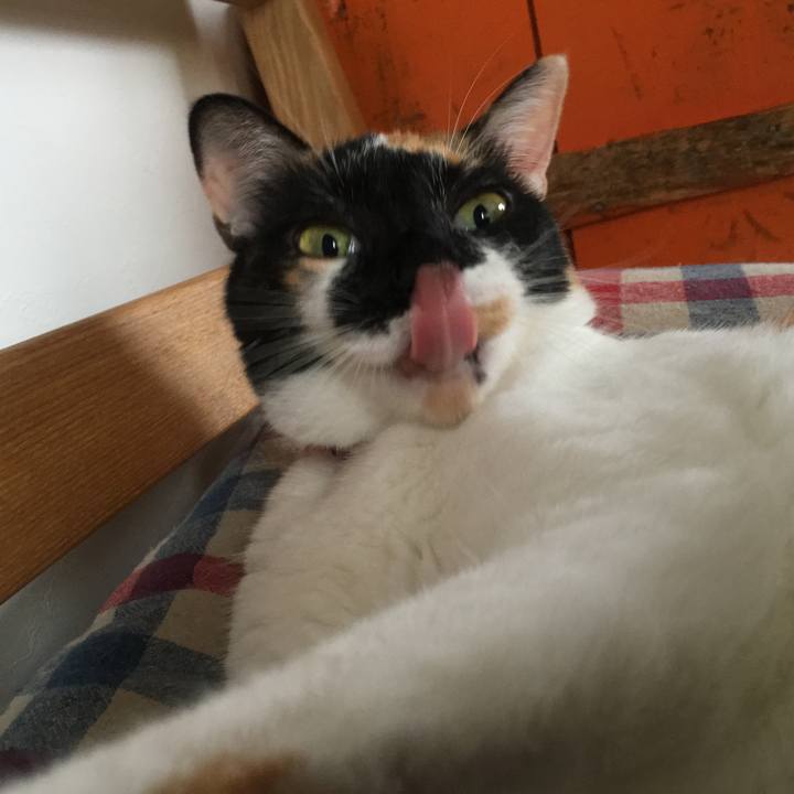 8c62ad1b 4d4e 4e09 a82a 152734021c55